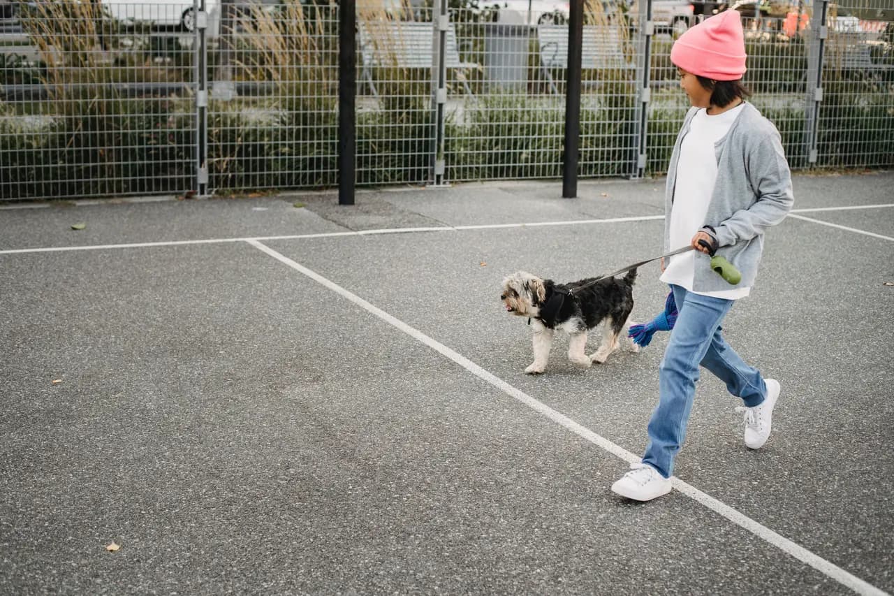 A child walking a small dog on a leash